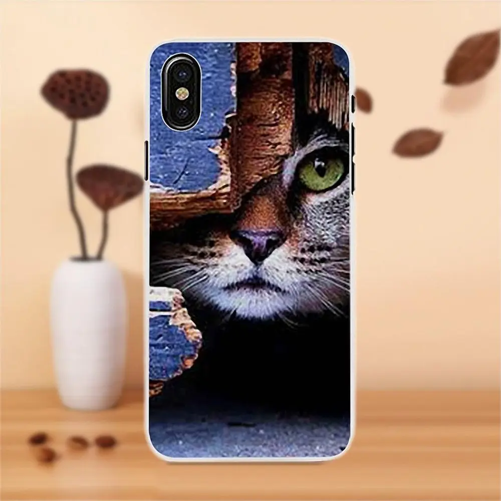 Fashion Cat With Sunglasses Soft TPU Cover Cases For Apple iPhone 4 4S 5 5C SE 6 6S 7 8 Plus X LG G4 G5 G6 K4 K7 K8 K10 | Мобильные