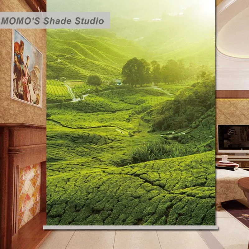 МОМО Тепловой Изоляцией Плотные Ткани Пользовательские Зеленый Оконные Шторы