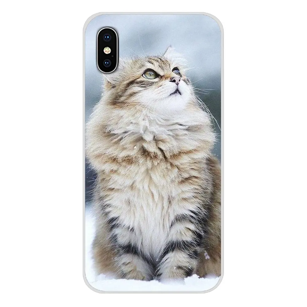 Transparent TPU Shell Case For Samsung A10 A30 A40 A50 A60 A70 Galaxy S2 Note 2 3 Grand Core Prime Animals Cats Cat with glasses | Мобильные