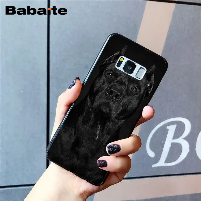 A2 Babaite питбуль прекрасный питбуль чехол для телефона для samsung Galaxy S8 S7 edge S10 Plus S10E S10lite S9 Plus S5 M10 20 - Цвет: A2