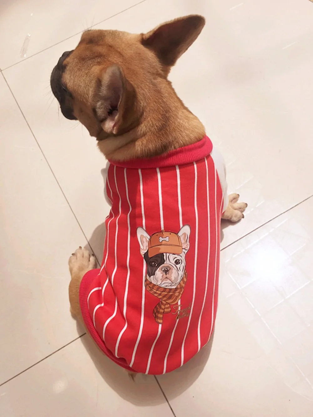 FA5 модные толстовки в полоску пальто бульдог бейсбольный стиль Осенняя одежда