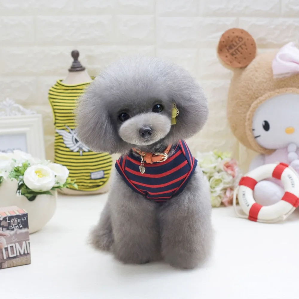 SENYEPETS 2019 жилет для одежды собак обнаруженный в весенне летних партиях с