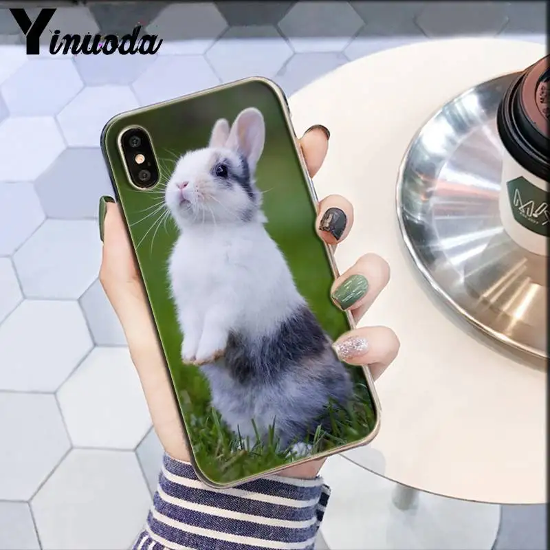 

Yinuoda rabbit bunny cute DIY Luxury High-end Protector Case For iPhone 8 7 6 6S Plus X XS MAX 5 5S SE XR 11 11pro 11promax