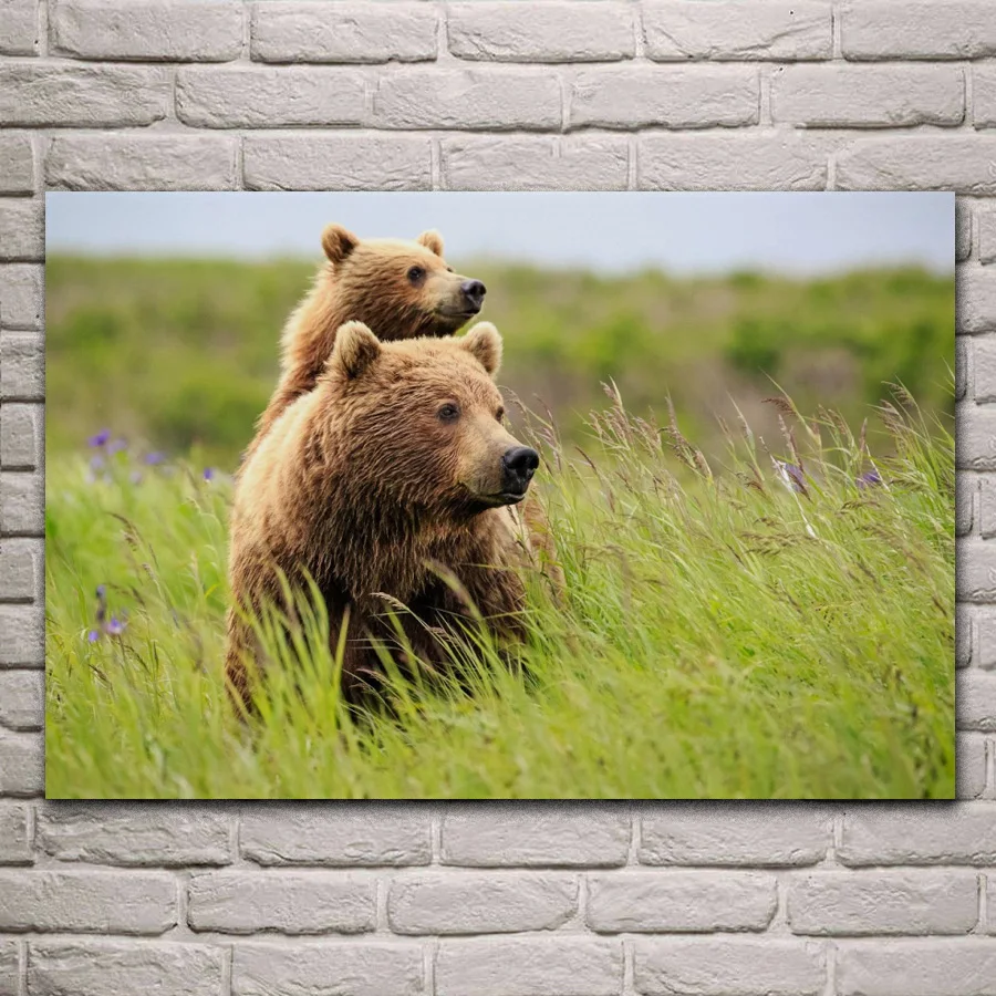 

Wild bear family cute animals grass field fabric posters on the wall picture home art living room decoration KG820