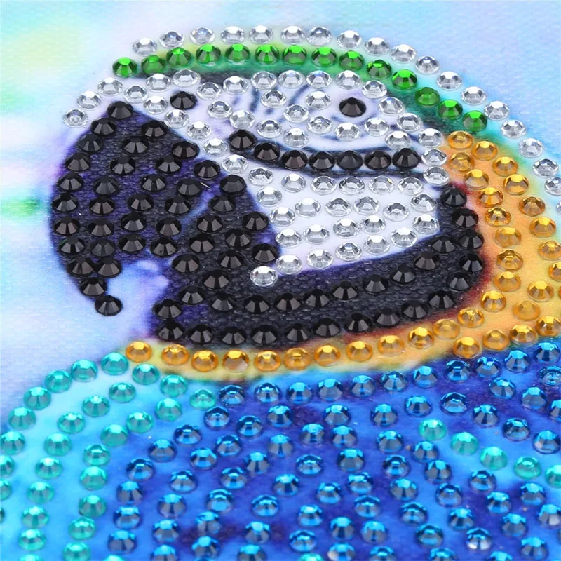 5D DIY Алмазная Вышивка Животных дрель мультфильм попугаи алмазная живопись Стразы