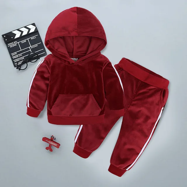 Wine Red Осенне-весенний детский спортивный костюм комплект одежды с капюшоном для мальчиков и девочек, Спортивная одежда на молнии для детей 1, 2, 3, 4 лет, детский спортивный костюм - Цвет: Wine Red