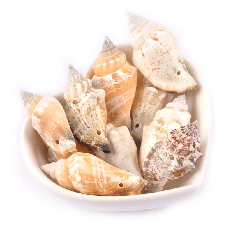 5 шт. натуральные ракушки для подвесок|Ракушки и морские звезды| |