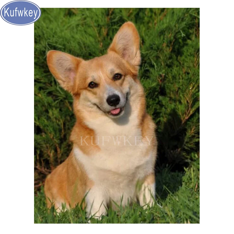 Алмазная живопись с валлийской корги собаки животное 5d алмазная вышивка сделай