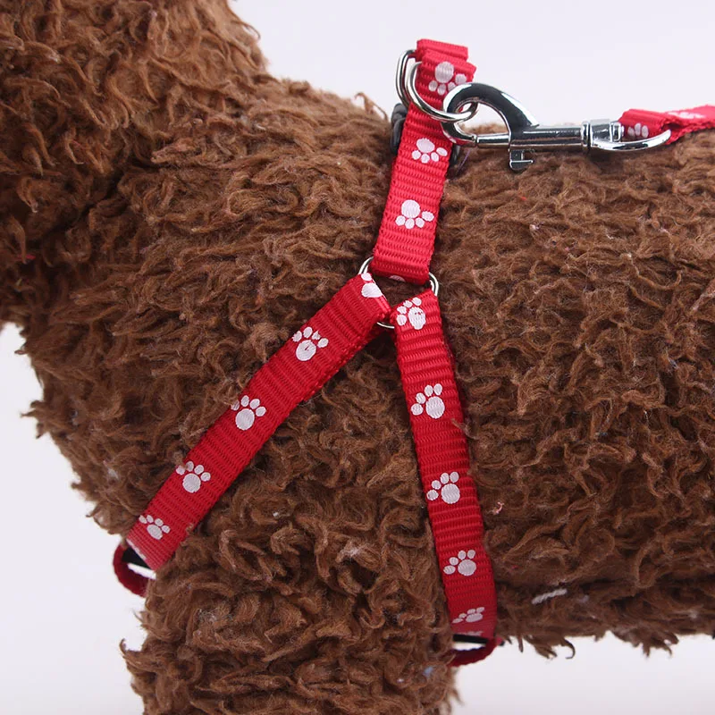 1 СМ Печати Веревка Мелких Животных Собаки Кошки Rope Lead Поводок Жгут Регулируемый