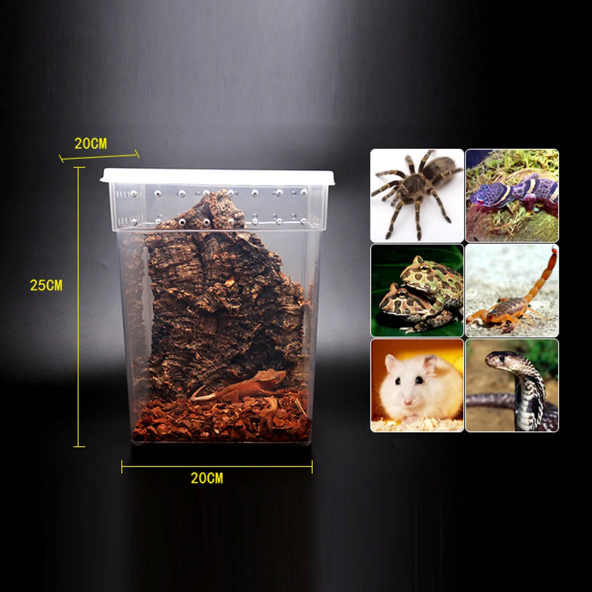 Прозрачный резервуар для кормления рептилий емкость террариумов насекомых