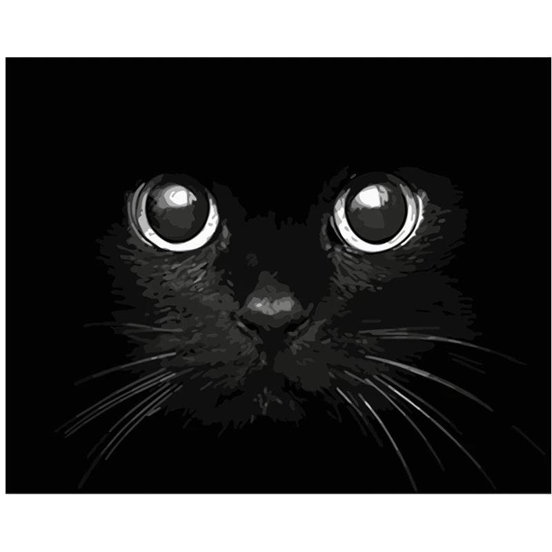 Картина по номерам DIY дропшиппинг 40x50 50x65 см Blackcat evil terrifying Animal холст свадебное украшение художественная картина подарок