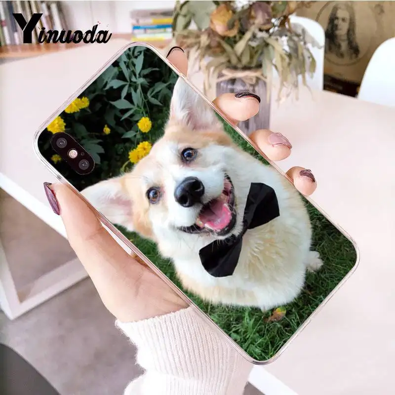 9 Yinuoda чехол для iphone 7 лучший друг животное собака корги Мопс Прозрачный чехол для телефона iphone 8 7 6 6S Plus X 5 5S SE XR XS XSMAX - Цвет: 9