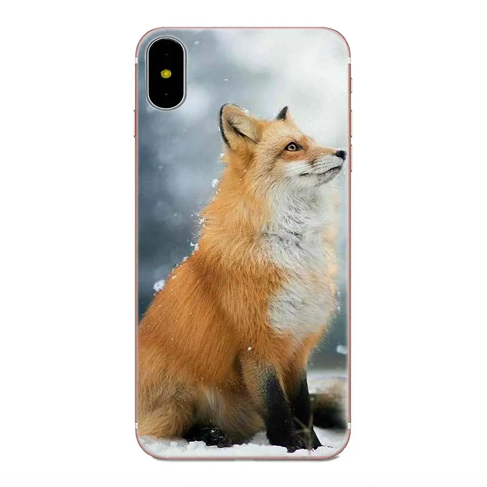Милый Arctic fox для Apple iPhone X XS Max XR 4 4S 5 5C 5S SE 6 6S 7 8 Plus уникальный прозрачный чехол из