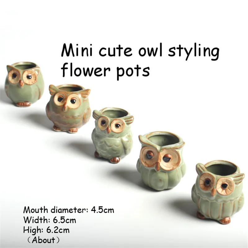 5 шт./компл. маленькие цветочные горшки в форме совы керамические мини суккуленты