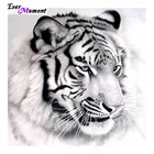 2016 алмазная живопись своими руками, 3D Алмазная вышивка, тигр, картины, вышивка крестиком, домашний декор ручной работы ASF244