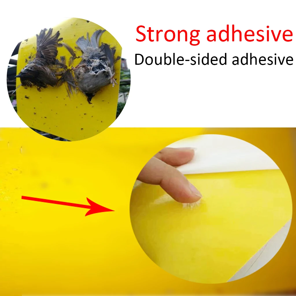 20 штук прочные ловушки для мух двухсторонняя ошибки липкий тли инсектицид доска