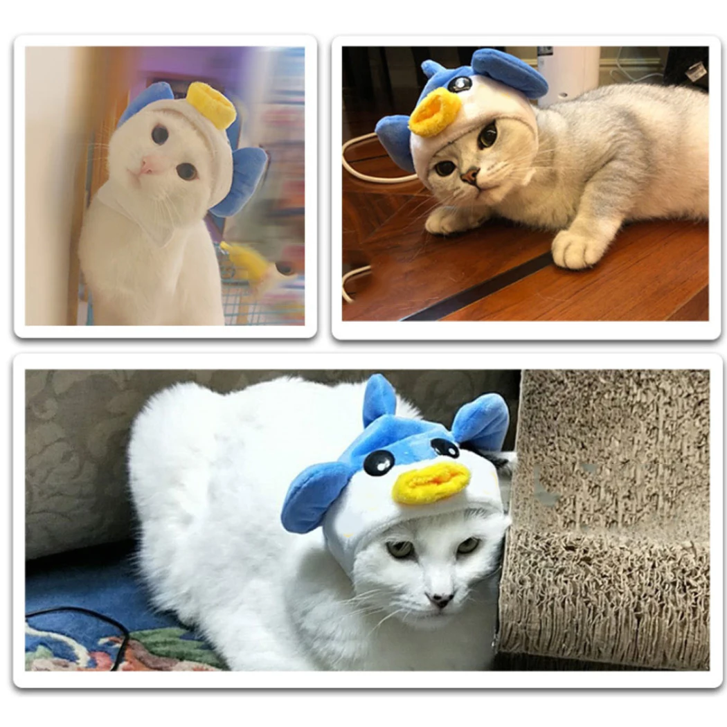 Новинка, Забавный милый костюм для кошек, Лев, тигр, кролик, Шапочка-лягушка, головной убор для кошки, собаки, Хэллоуин, Рождественская одежда, платье