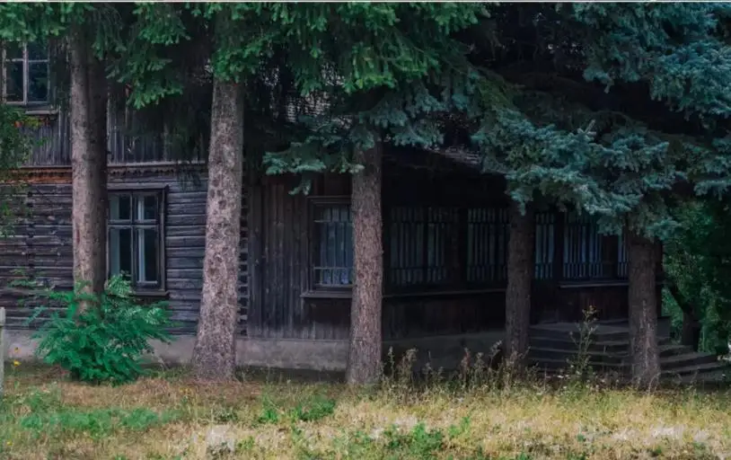 3d обои на заказ для гостиной с изображением дерева спальни | Обустройство дома