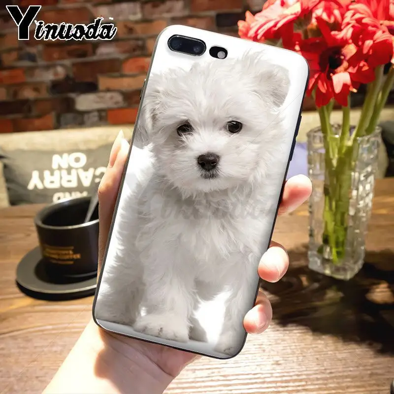3 Yinuoda животное Bichon frise собака восхитительный цветной рисунок чехол для телефона Apple iPhone 8 7 6 6S Plus X 5s 11pro SE 5C Чехол - Цвет: 3