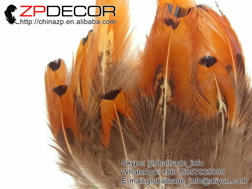 ZPDECOR 6 10 см 200 шт./лот чистое Золотое кольцо на шею оперение фазана свободные перья