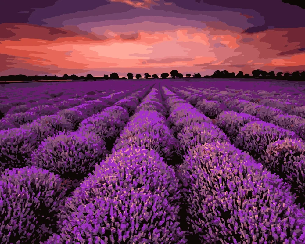 Mahuaf-i702 красивые цветы лаванды поле Сделай сам картины по номерам ручная роспись