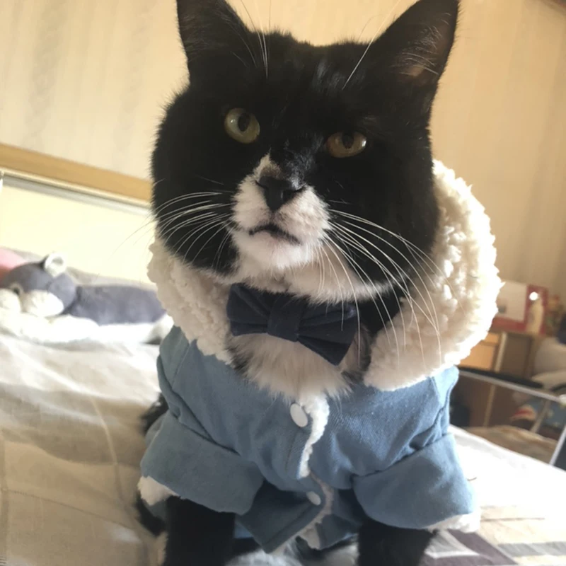 Теплый Хлопковый жакет с воротником Одежда для домашних животных котов кошек