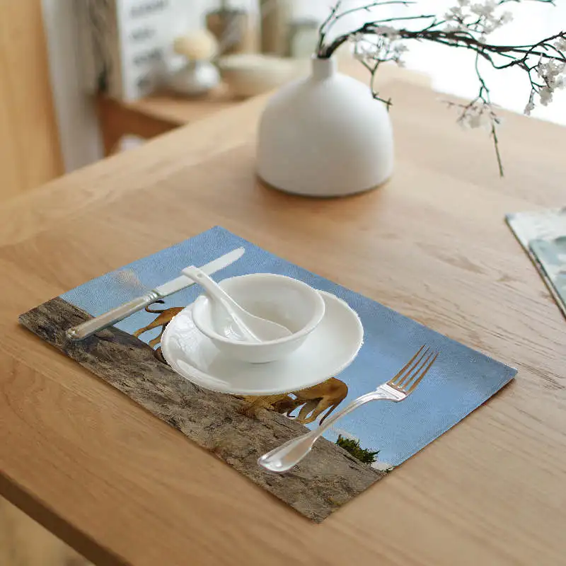 New Placemats African Animal Decoupage Family Kitchen Table Decoration Supplies Guardanapo | Дом и сад