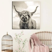 photography portrait highland cow posters and prints animals wall art canvas painting wall pictures for living room decor