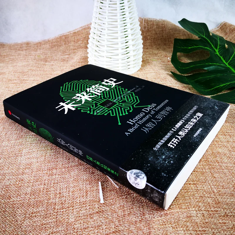 Новая китайская книга Краткая история будущего открытого окна человеческого