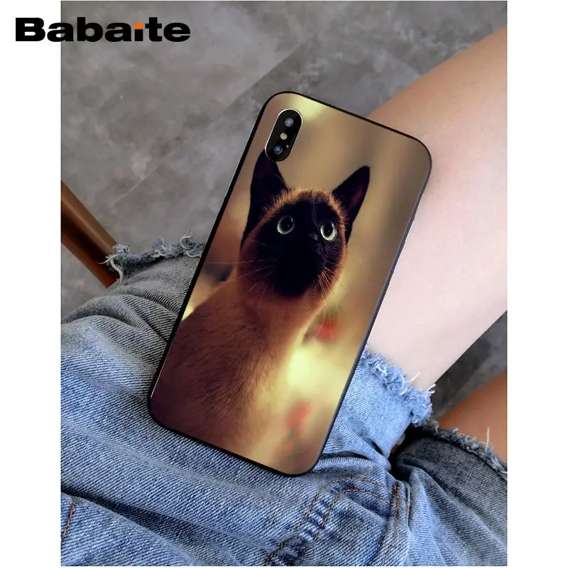 Babaite сиамская кошка красивый чехол для телефона iphone 8 8plus и 7 7plus 6s Plus 6 плюс 5s