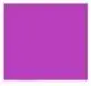 Fuchsia LZCMsoft Женские королевские синие танцевальные шорты из спандекса для джаза, лайкры, балета, тренировок, упражнений, шорты для танцев, танцевальное нижнее белье для девочек - Цвет: Fuchsia
