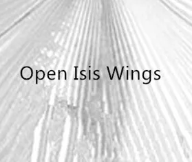Дешевые Костюмы на Хэллоуин танец живота Isis крылья для детей(нет палки) Золотой открытый Египет Isis Wngs - Цвет: Silver Open Wings