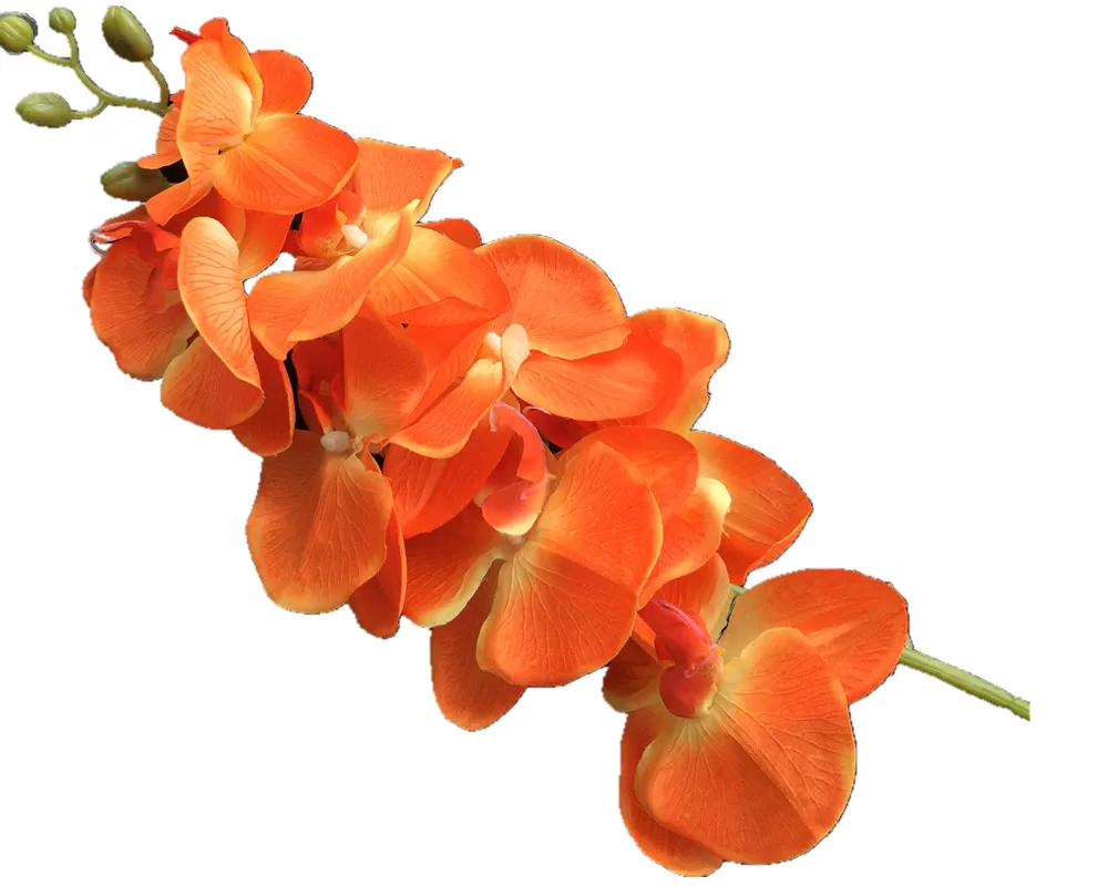 

One Faux Moth Orchid 8 Heads Phalaenopsis Orchid Flower Stem Silk Butterfly Orchid for Wedding Centerpieces Floral Decoration