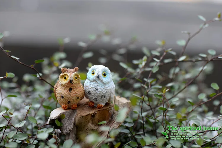 Распродажа 1 шт./лот мини птичка Минерва маленькое украшение Сова Фея Сад