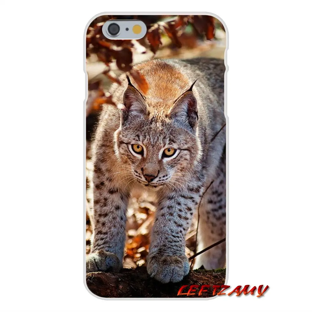 Для Samsung Galaxy S3 S4 S5 MINI S6 S7 edge S8 S9 Plus Note 2 3 4 5 8 Lynx Caracals аксессуары для котенка Чехлы