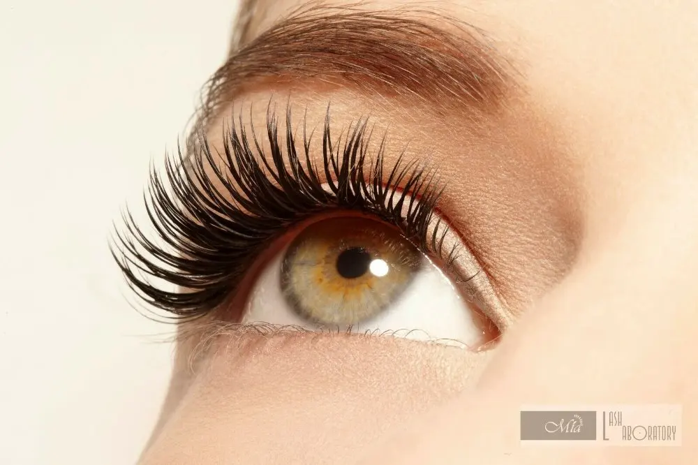 Натуральные норковые накладные ресницы LENA [0 10 ~ 0 12 C/D]|individual eyelash extension|eyelash