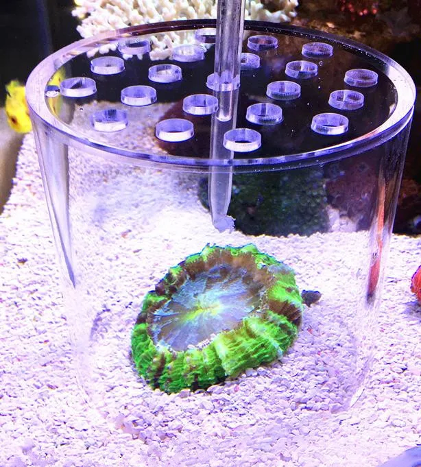 Коралловая кормушка удобрения добавить акриловые SPS HPS длинные 55 см короткие 35 см жидкость арин коралловый риф для аквариума рыбы водные питомцы кормушки