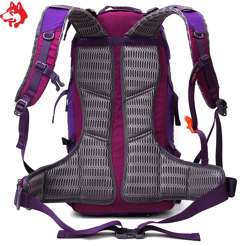 Рюкзак для кемпинга 45 л фиолетовый серый цвет|backpack outdoor|backpack greybackpacks purple |