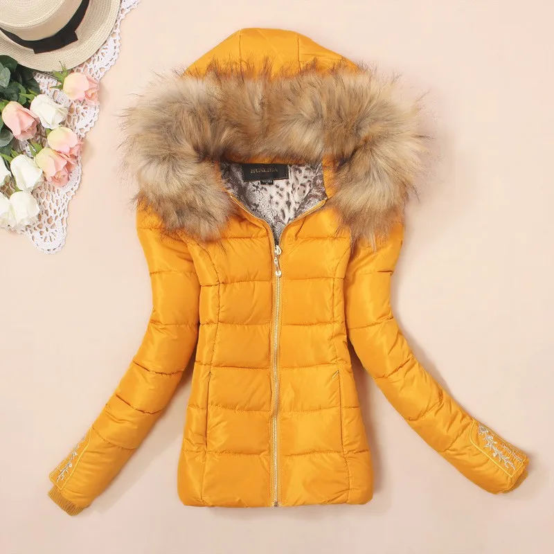 Новинка 2017 года куртка осень-зима Для женщин парки для пальто мода женский