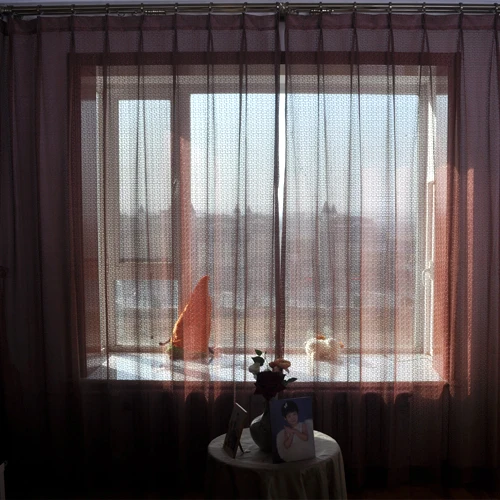 А бургундия экраны ткань марля твердые гостиной спальня ден 19 # высококлассные