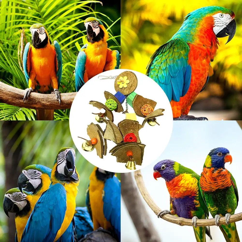 Parakeet жевательная игрушка попугай Кокосовая оболочка для кусания зубов шлифовка