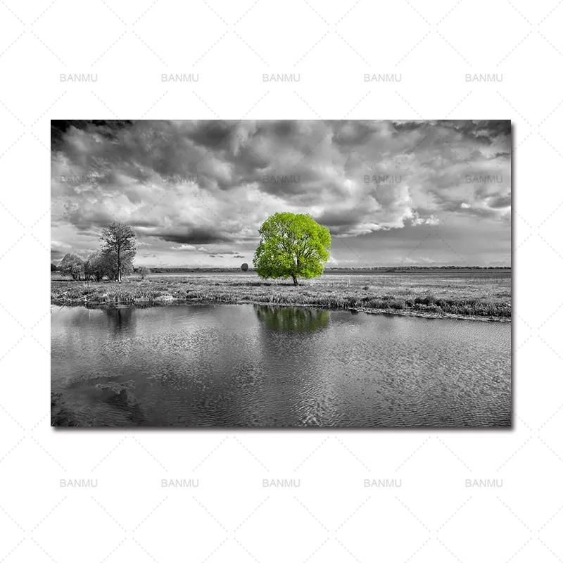 WP0236 Картины на холсте, настенные художественные принты, пейзаж, цветок, Картина на холсте, дерево, домашний декор, картины, печать для гостиной - Цвет: WP0236