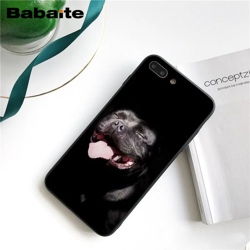 A8 Babaite питбуль прекрасный питбуль чехол для телефона чехол для iphone 11 Pro 11Pro Max X XS MAX 6 6s 7 7plus 8 8Plus 5S SE XR - Цвет: A8
