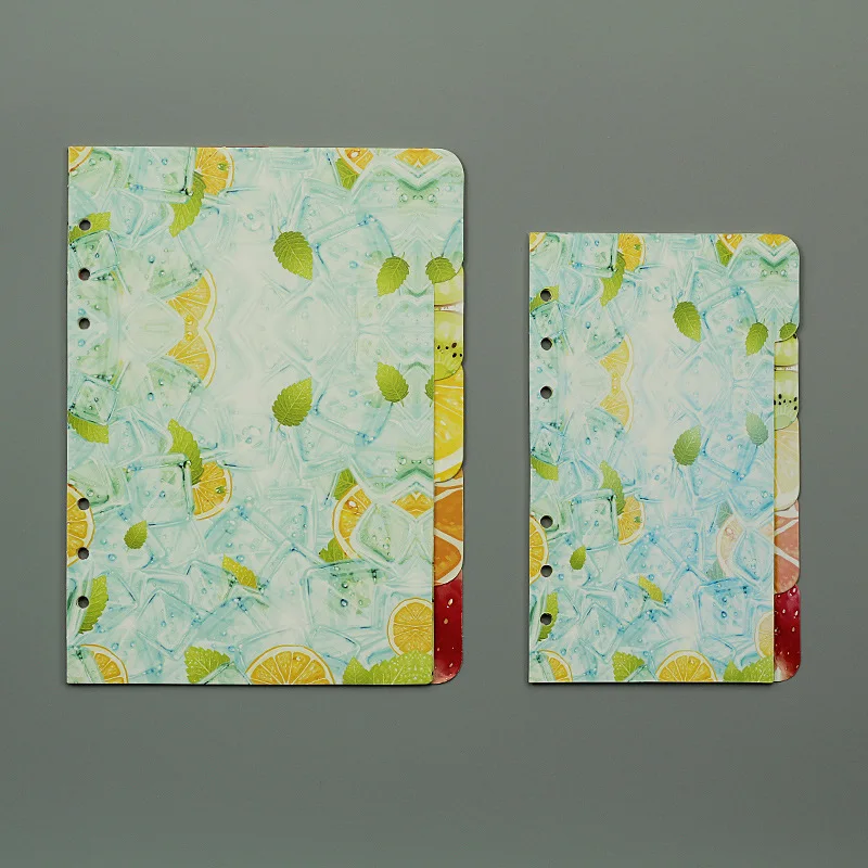 Свободная книга-справочник Note A5 A6 разделитель фотостраницы 5 листов Стандартные 6