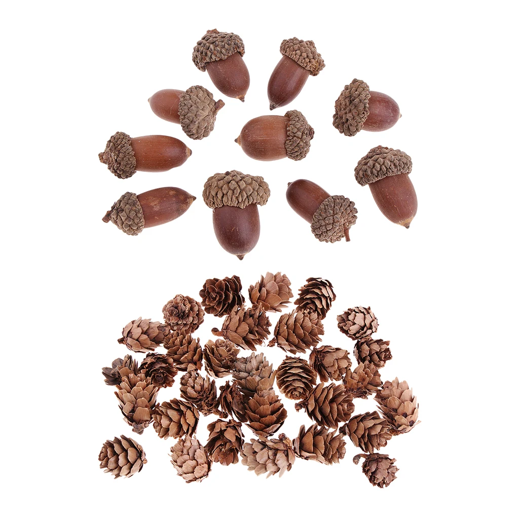 

40 Pieces Mixed Natural Mini Acorn Dried Pine Cones Table Ornaments Home Room Party Christmas Decorations 15 - 25 Mm