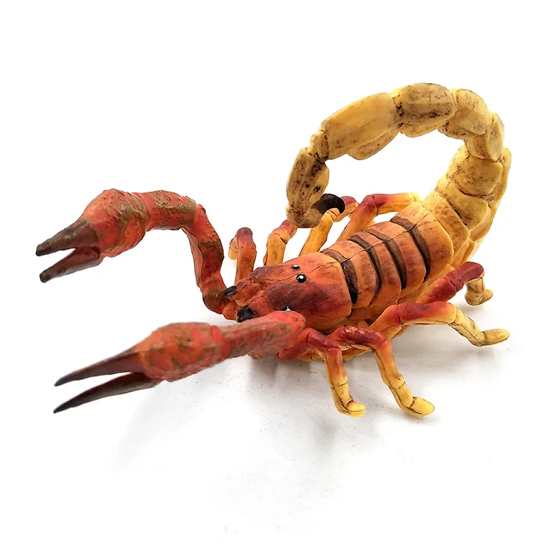 Модель симпатичного скорпиона, модель животного, пластиковая фигурка,  домашний декор, сказочное украшение сада, аксессуары, статуэтка, игрушки |  AliExpress