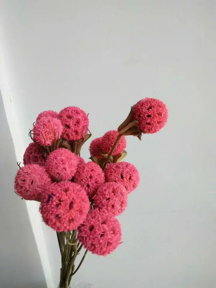 2018 подарок для девушки и женщины украсить букет съемки реквизит | Дом сад