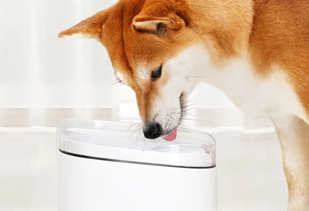 Xiaomi Mijia котенок, щенок, домашнее животное диспенсер для воды для собак и кошек прозрачный 2л белый цвет маленький питомец поилка