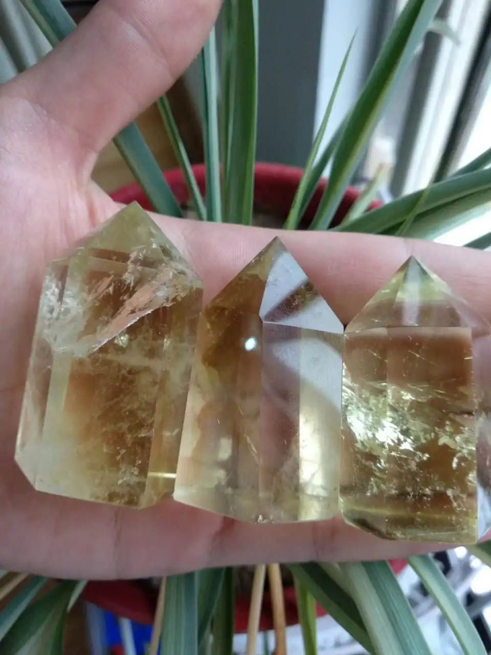 Фото 150g 3pcs Natural Citrine Quartz Crystal Wand Point Healing as gift Дом и сад 150g 3pcs Natural Citrine Quartz Crystal Wand Point Healing as gift Дом и сад