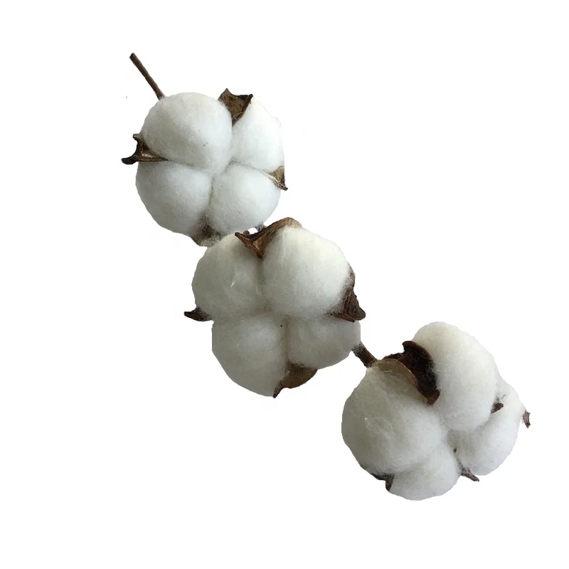 8 Inch 3 Heads Artificial Cotton Flower Boll Single Picks for Farmhouse Decor Dried Flowers | Дом и сад